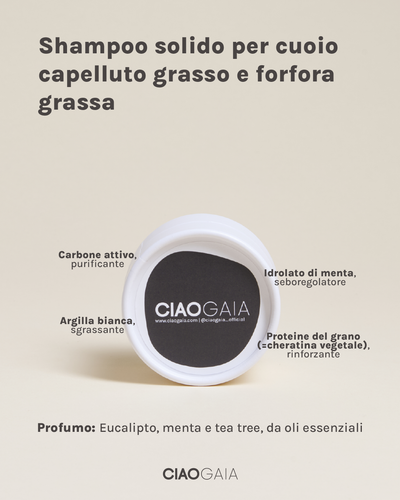 SHAMPOO SOLIDO CON INGREDIENTI PER CUTE GRASSA O FORFORA GRASSA - Eucalipto, Menta e Tea Tree